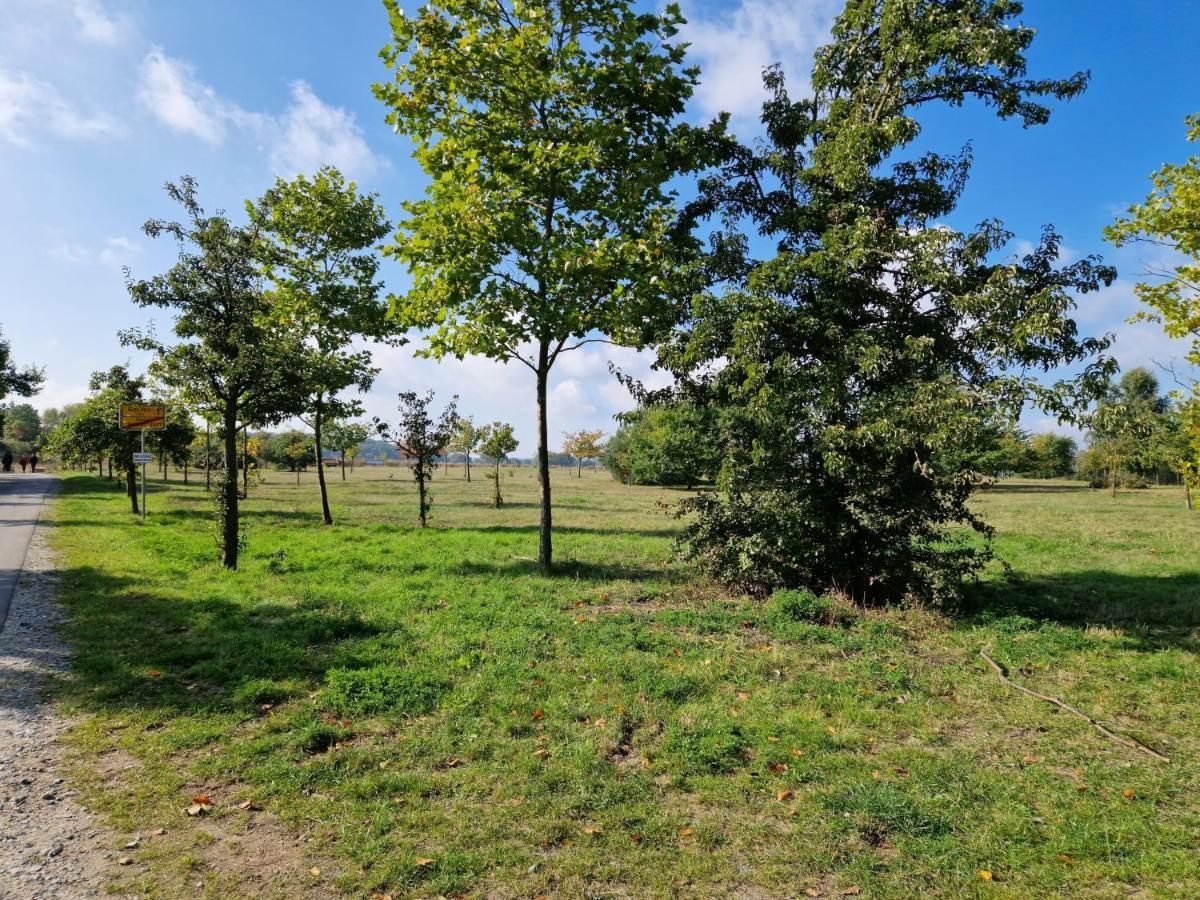 Heringsdorf - Moewe Екстер'єр фото